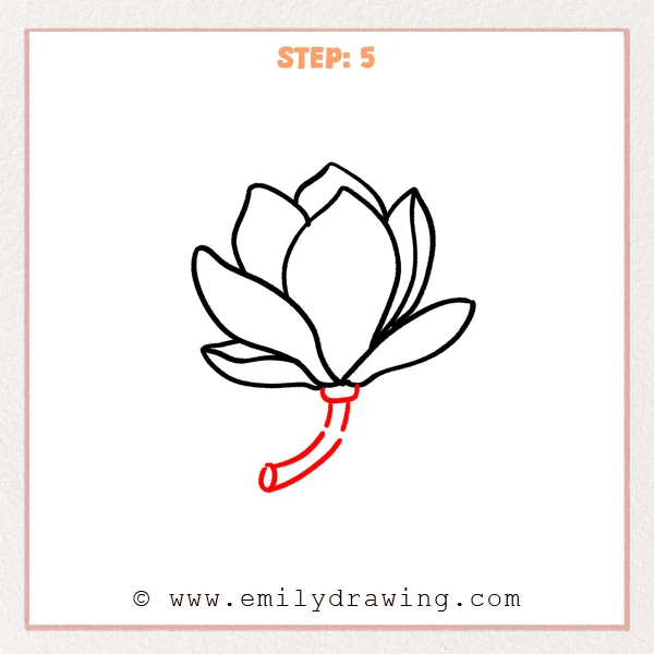 how to draw a magnolia flower - Step 5